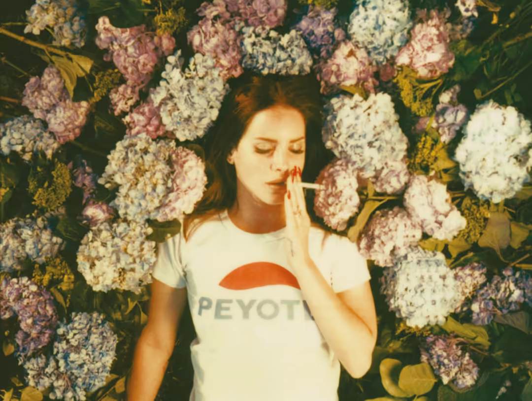 Woman in white t-shirt against lush pink and white hydrangea flowers with vintage color grading and nostalgic aesthetic styli