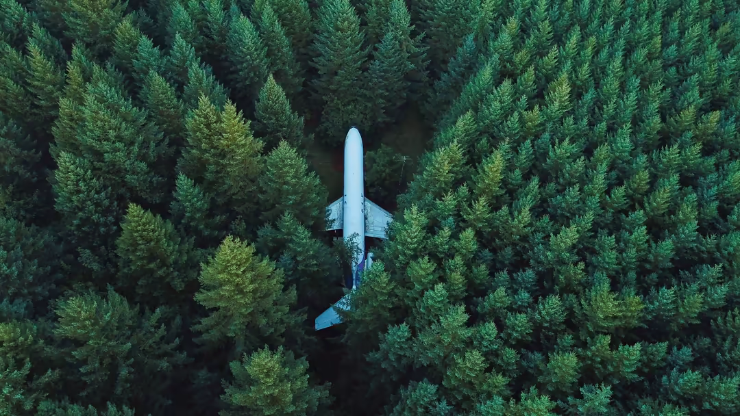 Aerial view of a white airplane flying over a dense green forest, captured from directly above with symmetrical evergreen tre