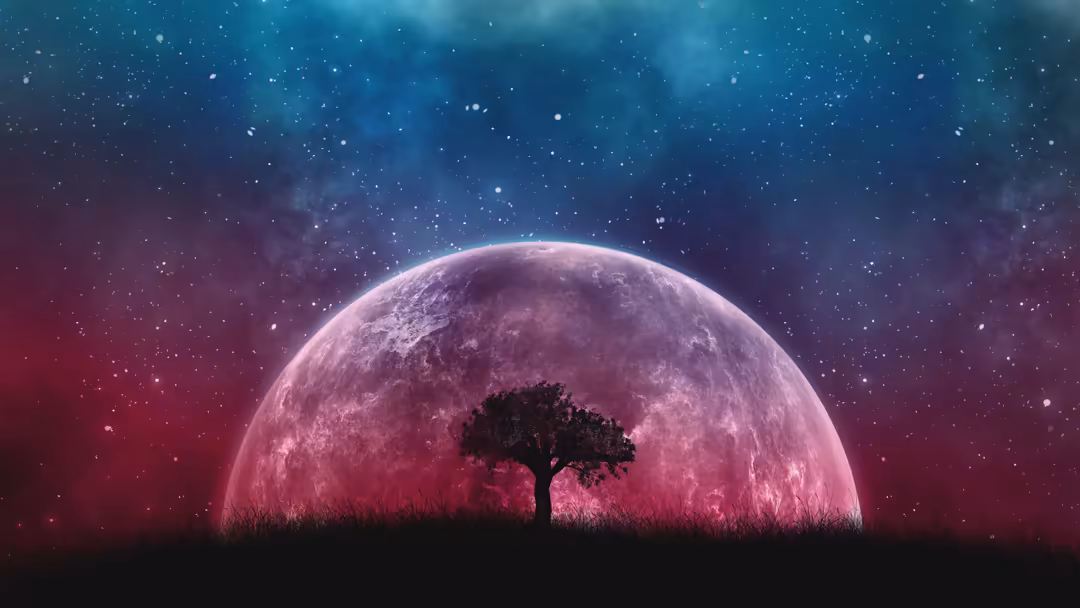 Silhouette of a lone tree against a massive pink moon with starry night sky and cosmic atmosphere