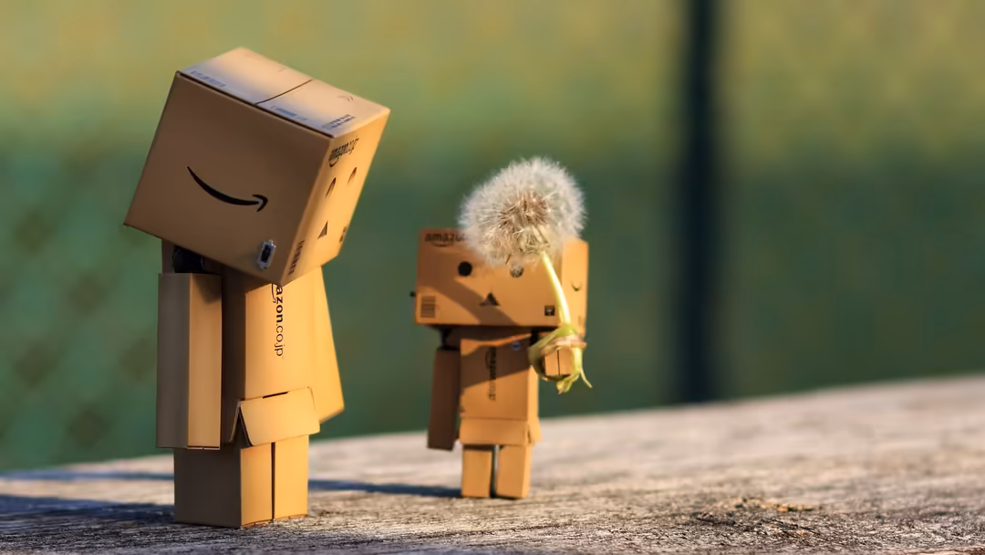 Two smiling cardboard box characters with simple faces, one holding a dandelion flower, standing on a surface with a blurred