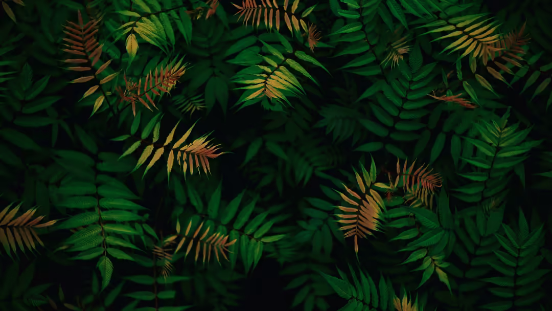 Lush green and golden fern leaves with intricate details arranged densely against a dark black background creating a moody tr