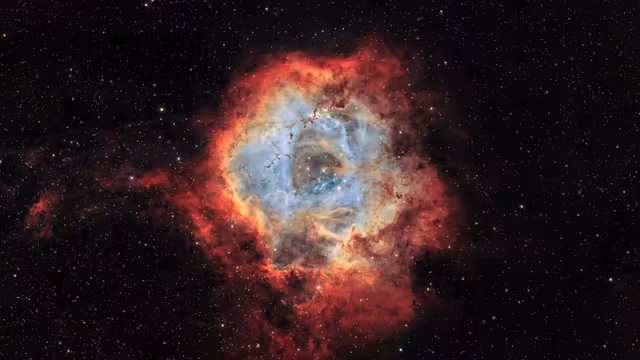 Rosette Nebula Cosmic Star Formation