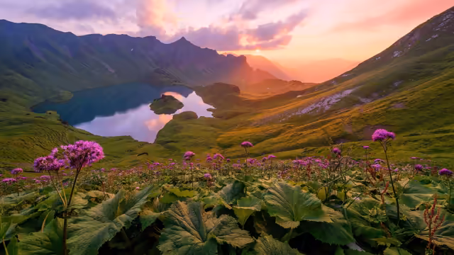 Alpine Lake Sunset With Purple Flowers