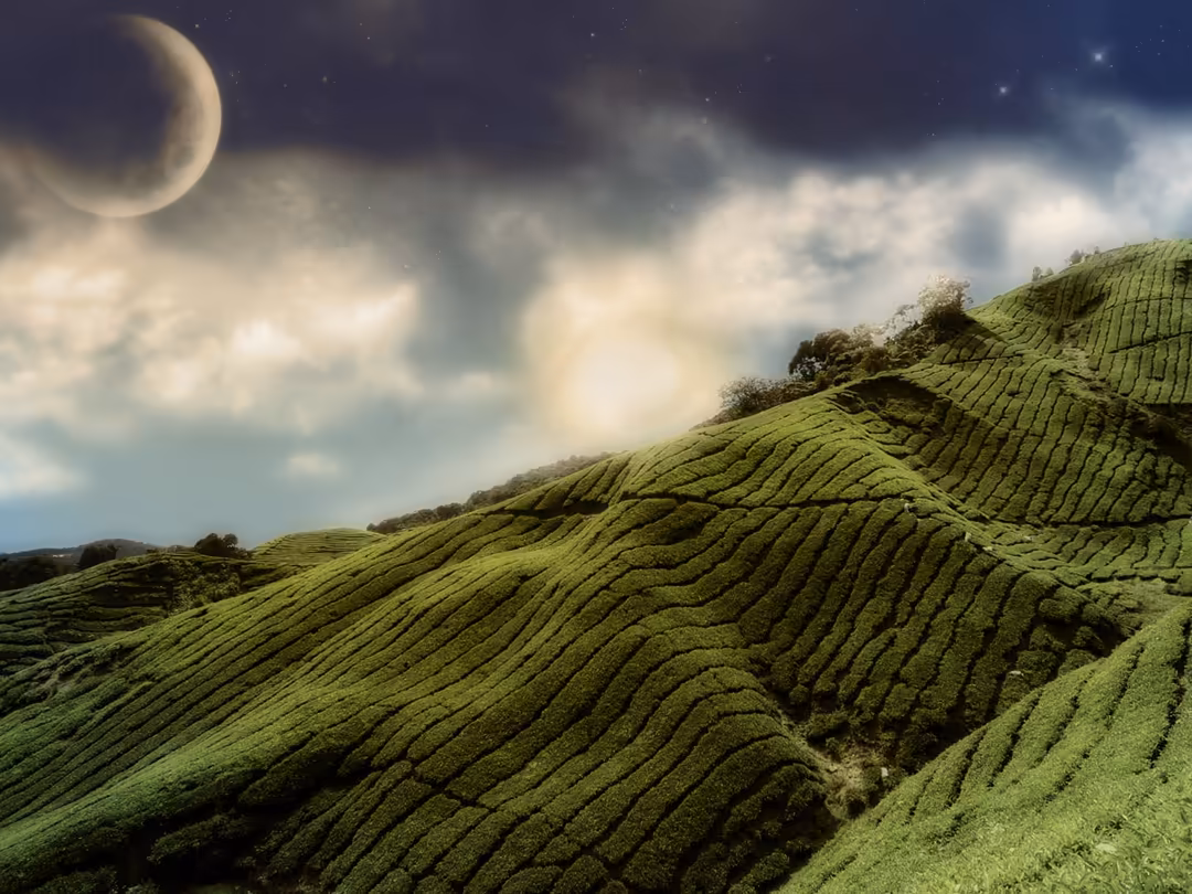 Crescent moon illuminating rolling green hills with textured terrain patterns under a cloudy night sky with scattered stars