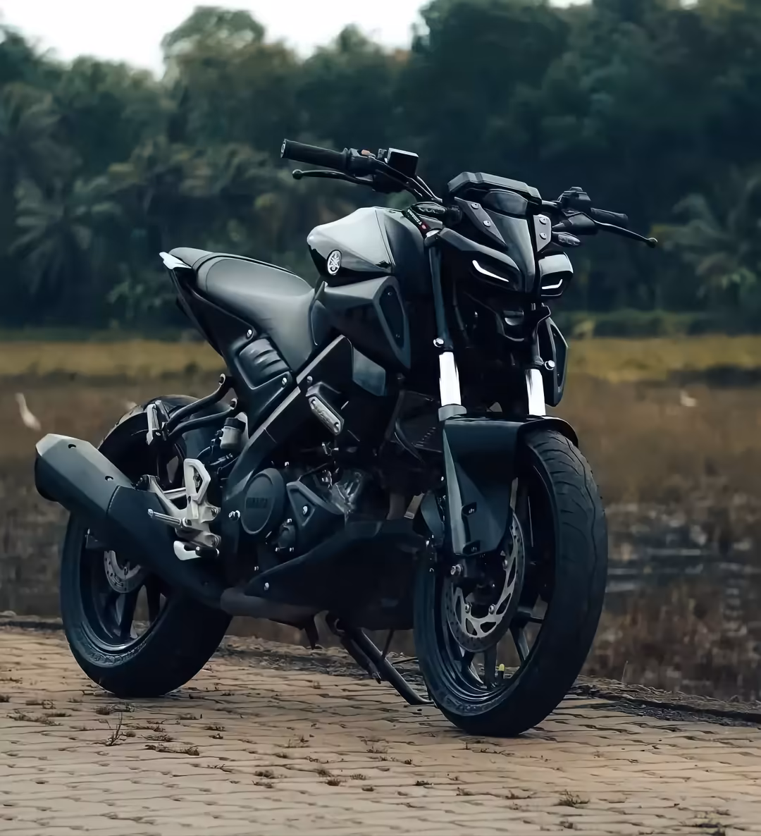Modern black and white motorcycle parked on sandy terrain with lush green forest and waterfront in the background